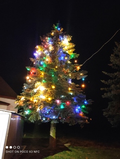 Rozsvěcený vánoční strom